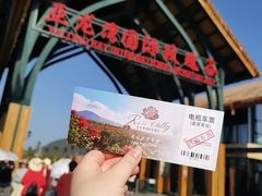-亚龙湾国际玫瑰谷