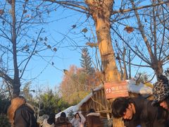 -HERRE·FARM 赫尔露营农场·团建聚会包场