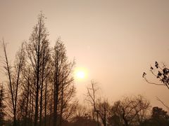 -铁山坪森林公园