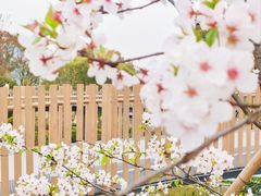 -上海植物园-4号门售票处