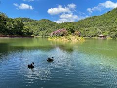 -广州白江湖森林公园