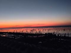 -南汇新城海滩