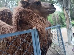 -长白岛森林公园