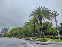 -宝安西湾红树林湿地公园