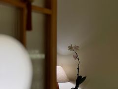-本無咖啡·BeanWood Coffee