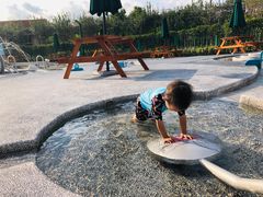 -季高兔窝窝亲子园(上海薰衣草公园店)