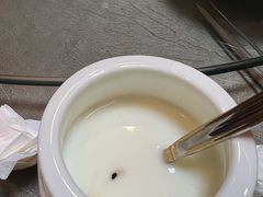 -塔城美食(塔城办事处店)