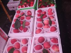 -菜园坝水果市场