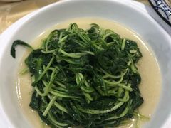 清炒马兰头-大鸿运酒店·苏州菜·松鼠桂鱼(观前街店)