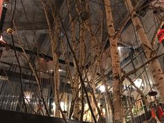 店内藏真树-MAAN COFFEE(金桥店)