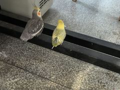 -隐工匠·银饰·烧玻璃DIY手工坊(蓝·芳华店)