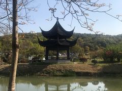 -龙寺生态园