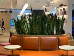 -Peet's Coffee皮爷咖啡(德基店)