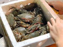 -黄沙水产交易市场
