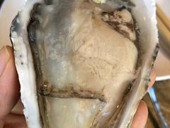 生蚝刺身-日进一片海.生腌海鲜火锅.宵夜烧烤(三里屯总店)