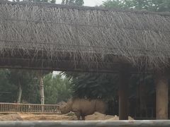 -石家庄市动物园