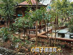 -九溪蒋记菌子宴