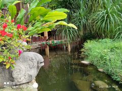-三亚海棠湾南田温泉神龙谷