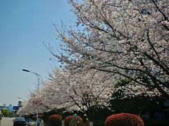 -江南大学(蠡湖校区)