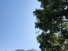 -深圳仙湖植物园