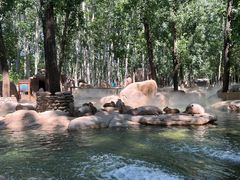 -北京野生动物园