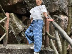 -白云源风景区