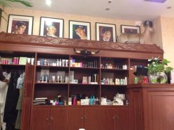 iphone_upload_pic-TWOFACE双面理发馆