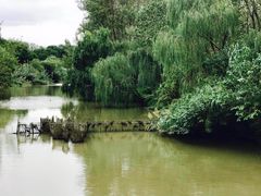 -溱湖国家湿地公园