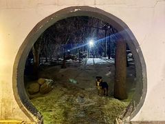 -香木香羊(小汤山店)