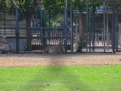 -北京麋鹿生态实验中心