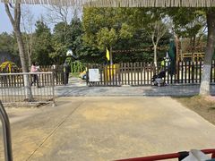 -上海海湾国家森林公园