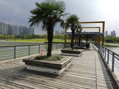 -白塘生态植物园