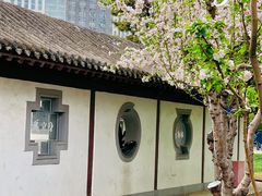 -团结湖公园