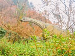 -木兰云雾山