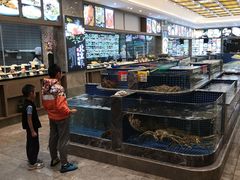 -骏莱海鲜鱼港(五角场店)