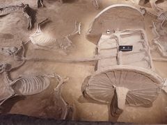 -洛阳周王城天子驾六博物馆