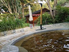 -碧水湾温泉