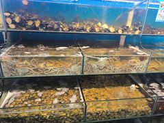 -仙螺岛海鲜自助餐厅(总店)
