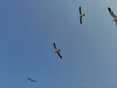 -海驴岛(荣成市)