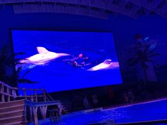 -海合安武汉极地海洋公园