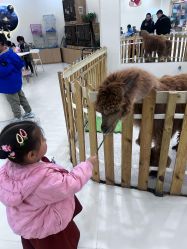 -Moni星球萌宠·小马宝莉·灵蛇·高端高阶全萌宠互动体验俱乐部(红豆国际广场店)