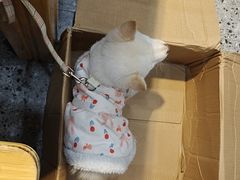 -胖子鱼·天水麻辣鱼火锅(秦州407店)