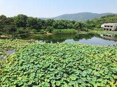 -苏州环秀晓筑养生度假村