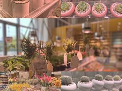 -KKV(天津津南吾悦广场店)