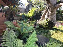 -Chom Cafe and Restaurant