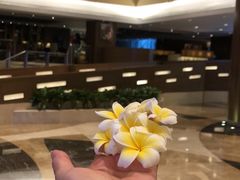 -广州中心皇冠假日酒店·汇点大堂吧
