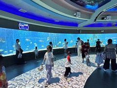 -合肥海洋世界