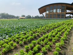 -中国天府农业博览园