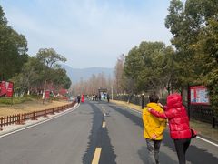 -习家池