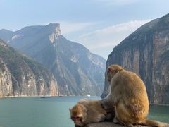 -白帝城·瞿塘峡景区